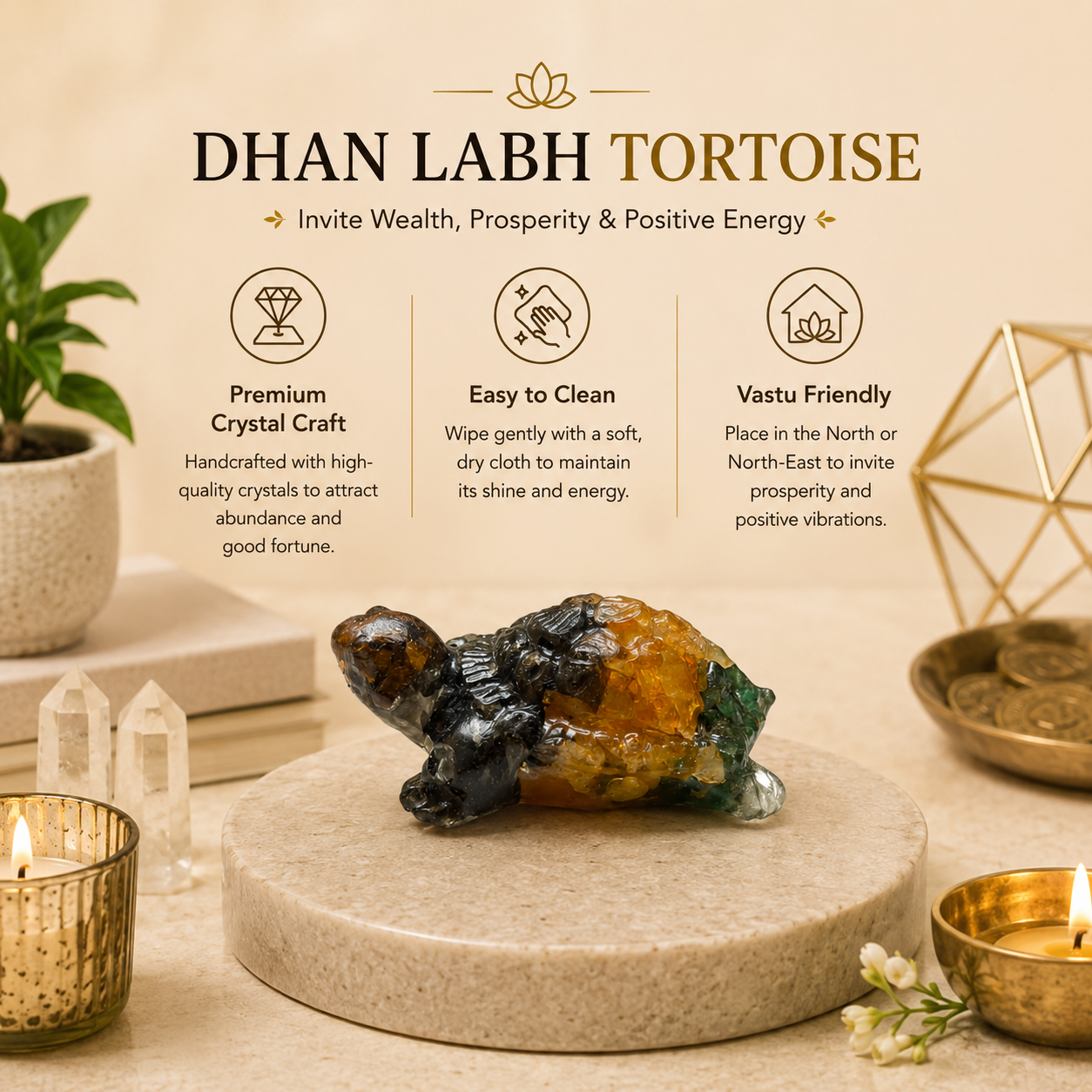 Dhan Labh Tortoise (Kachhua)