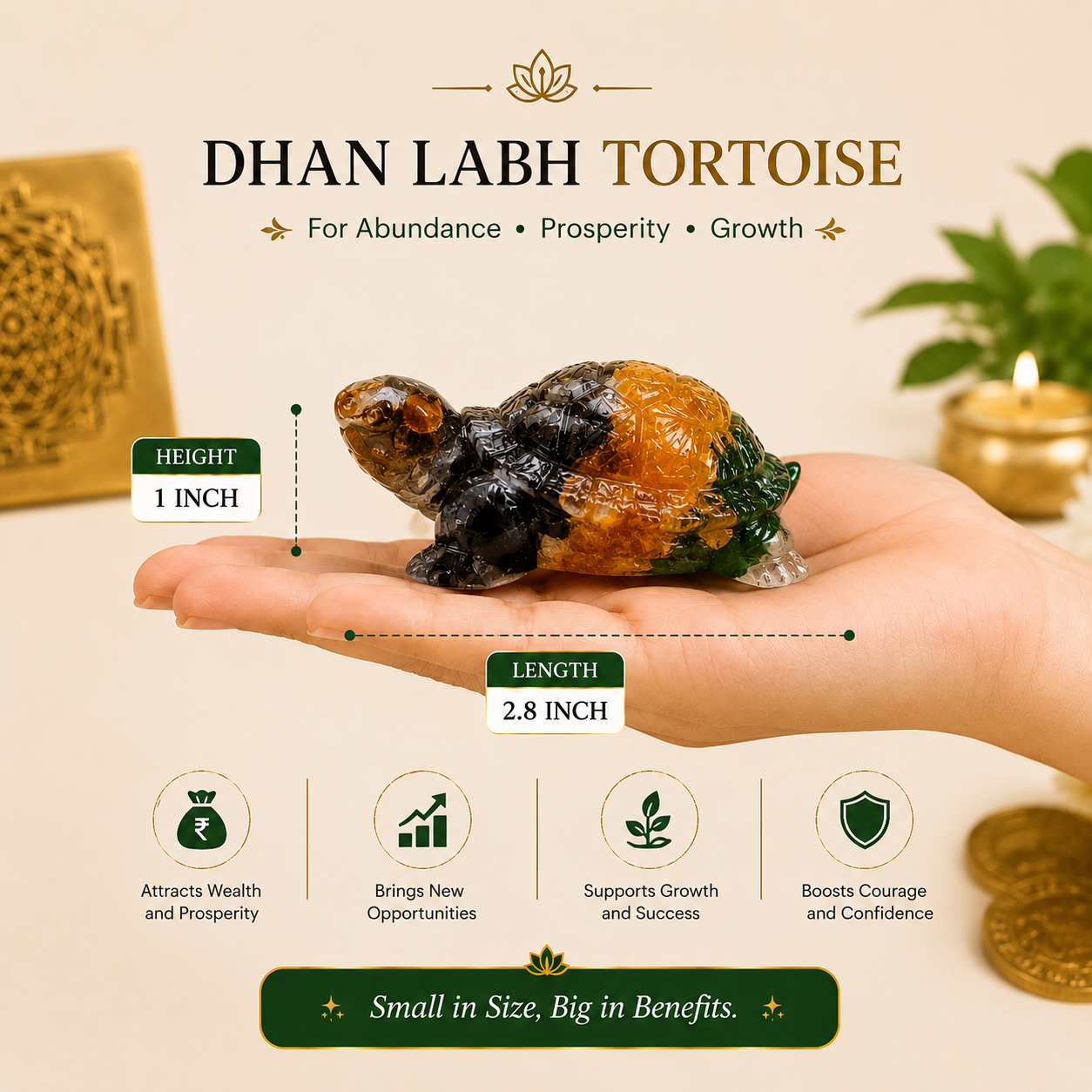 Dhan Labh Tortoise (Kachhua)