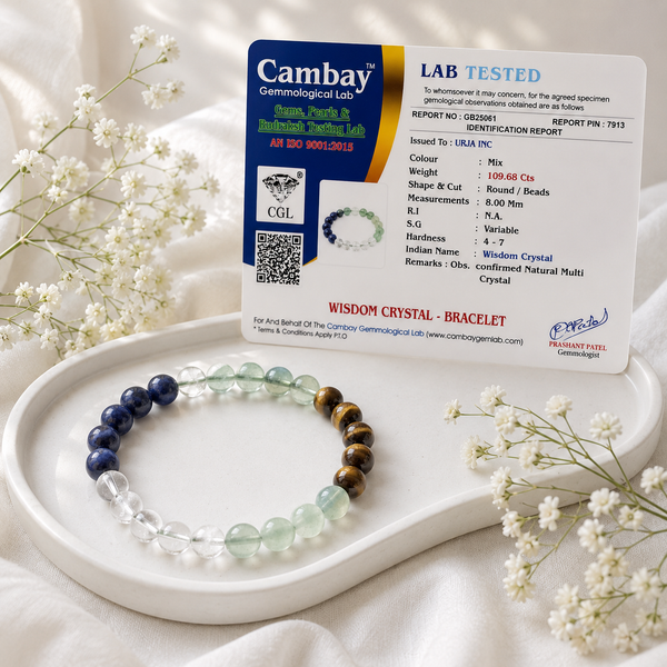 Wisdom Bracelet - Education & Career Success