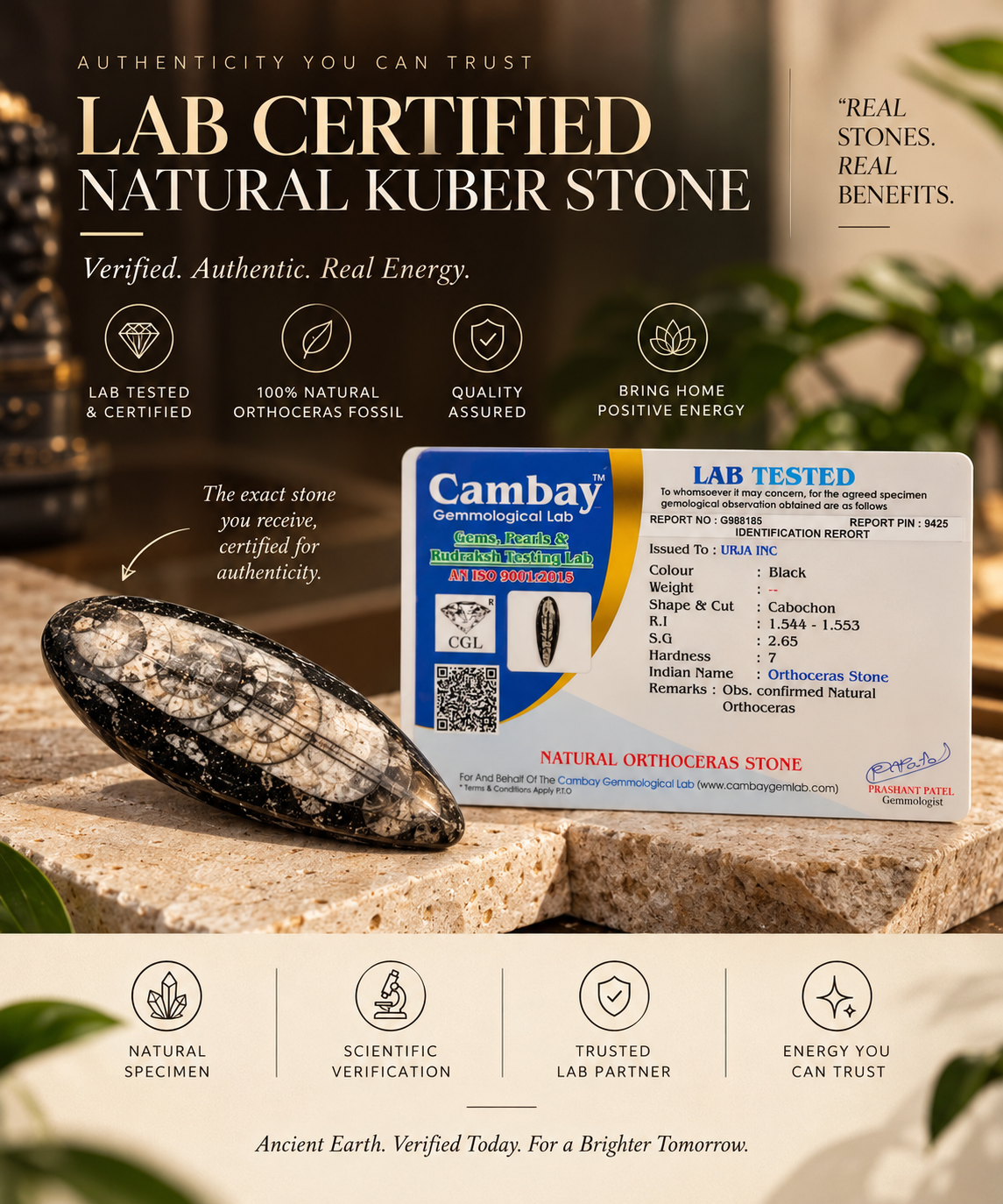 Kuber Stone - Natural Orthoceras Fossil
